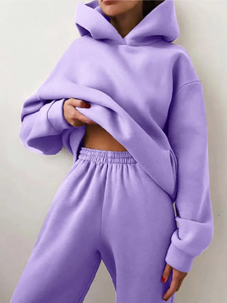 Women Plain Split Joint Two-Piece Set Daily Long Sleeve Casual Spring/Fall Top With Pants Matching Set