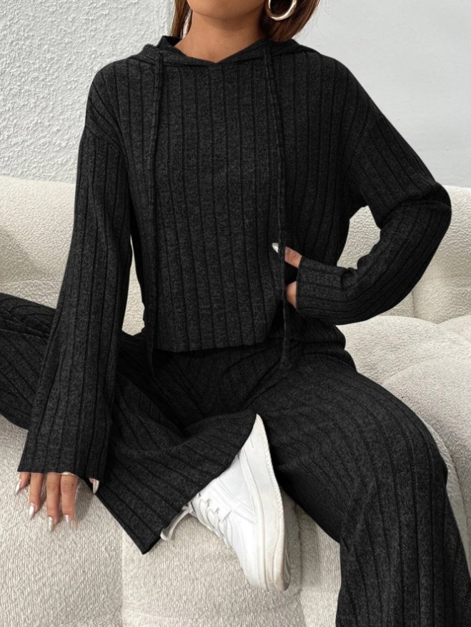 Women Plain Embossed Two-Piece Set Daily Long Sleeve Casual Spring/Fall Top With Pants Matching Set