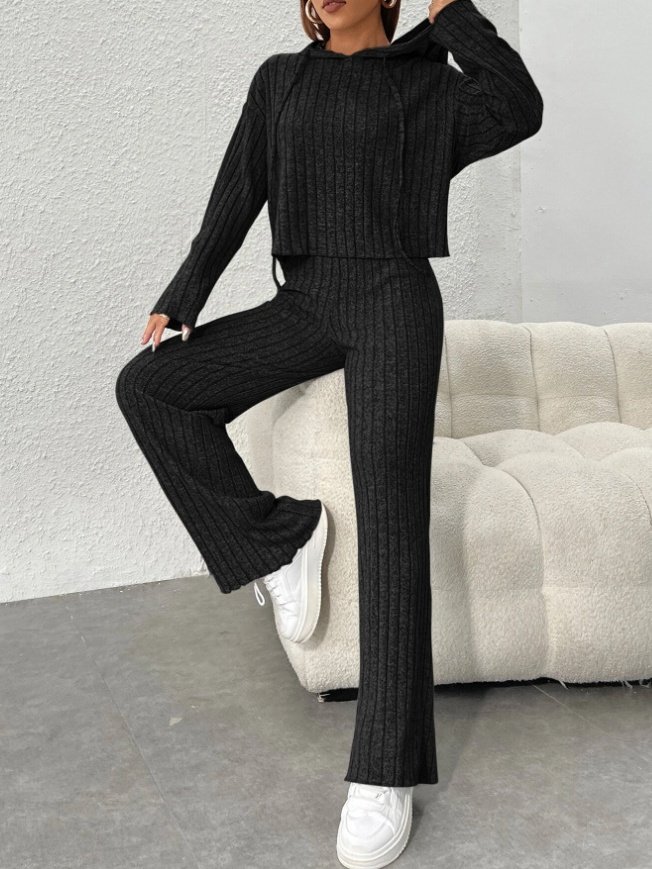 Women Plain Embossed Two-Piece Set Daily Long Sleeve Casual Spring/Fall Top With Pants Matching Set