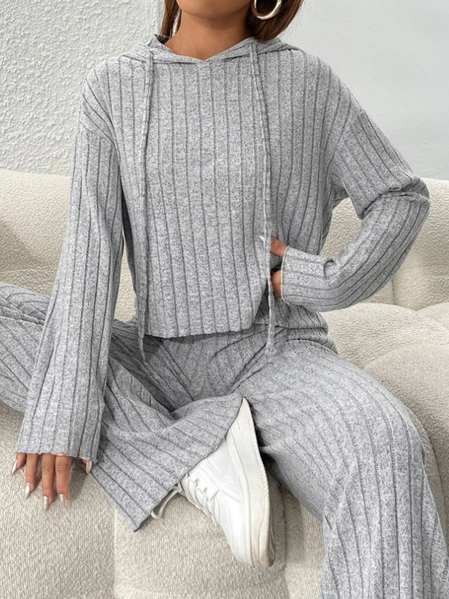 Women Plain Embossed Two-Piece Set Daily Long Sleeve Casual Spring/Fall Top With Pants Matching Set