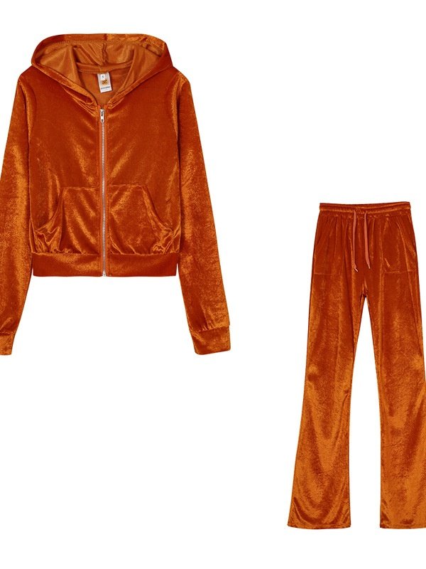 Women Plain Split Joint Two-Piece Set Daily Long Sleeve Casual Spring/Fall Top With Pants Matching Set