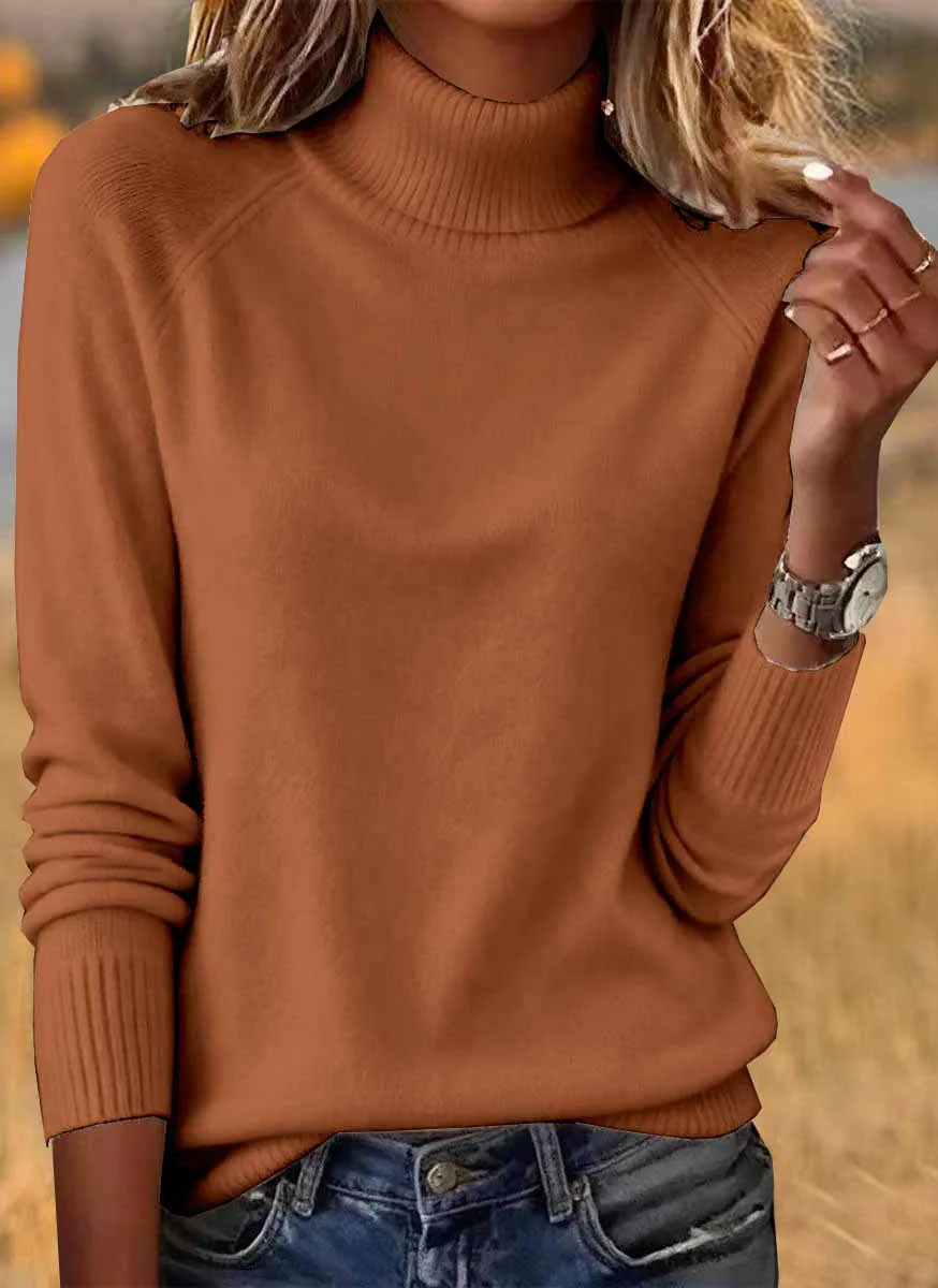 Women Plain Spring/Fall Casual Long Sleeve Turtleneck Cotton Sweater