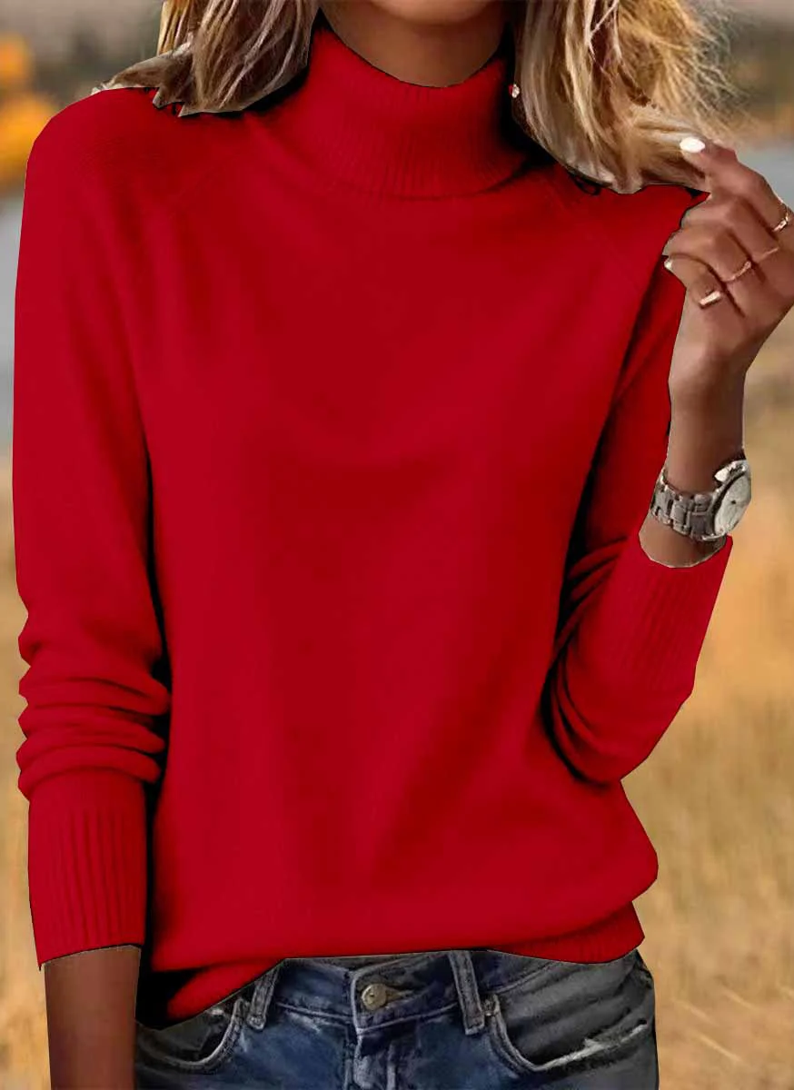Women Plain Spring/Fall Casual Long Sleeve Turtleneck Cotton Sweater