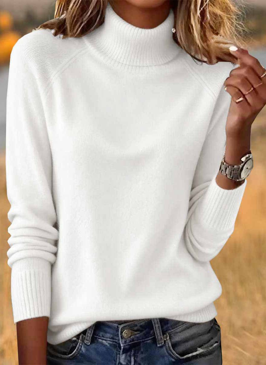 Women Plain Spring/Fall Casual Long Sleeve Turtleneck Cotton Sweater