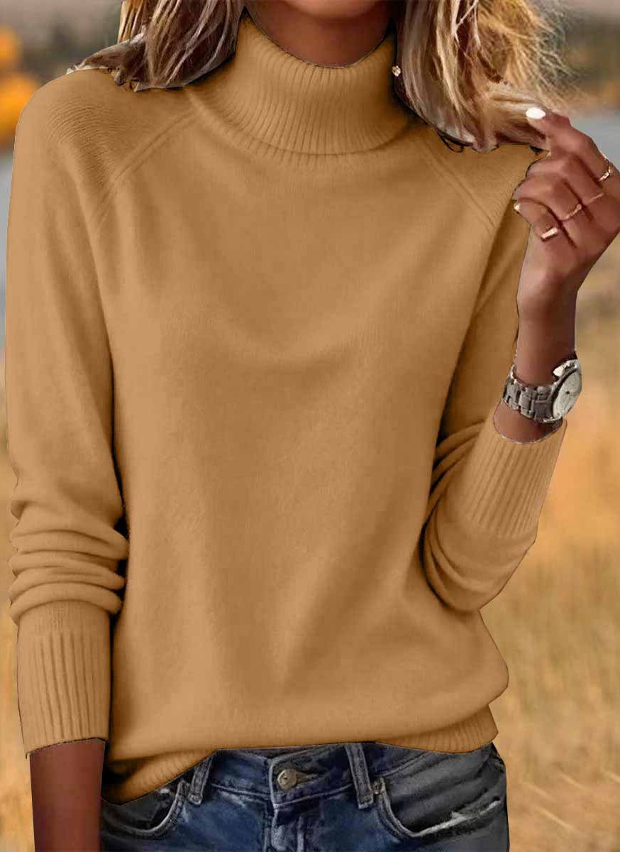 Women Plain Spring/Fall Casual Long Sleeve Turtleneck Cotton Sweater