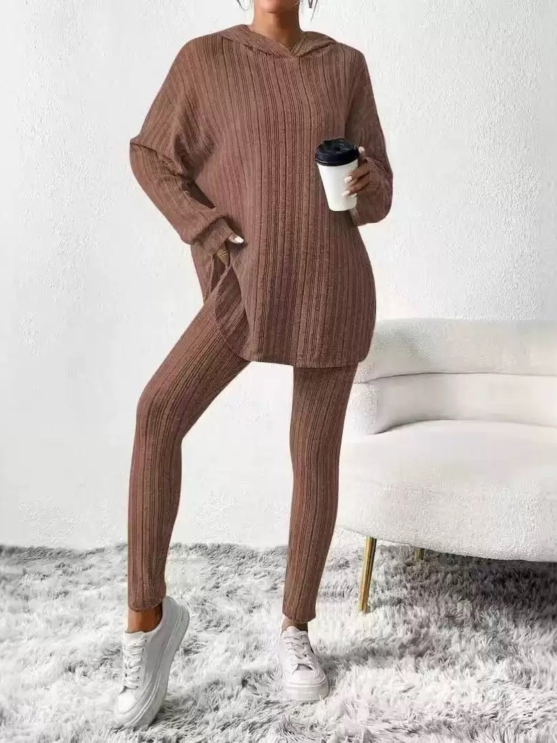 Women Plain Embossed Two-Piece Set Daily Long Sleeve Casual Spring/Fall Top With Pants Matching Set