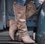 Daily Hollow-Out Spring/fall Boots