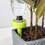 Plant Self Watering Spikes