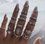 One Set Of 15 Vintage Rings