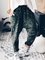 Gray Leopard Floral-Print Casual Pants