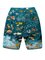 Men Printed Casual quick-drying shorts