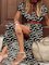 Black Printed Boho Short Sleeve V Neck Dresses