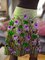 Vintage Printed Skirts