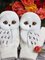 Polyester Printed Casual Winter White Gloves