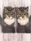 Cute Cat Polyester Printed Casual Winter Brown Gloves
