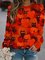 Orange Long Sleeve Crew Neck Cotton-Blend Halloween Sweatshirt