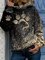 Elegant Loosen Hooded Sweatshirt