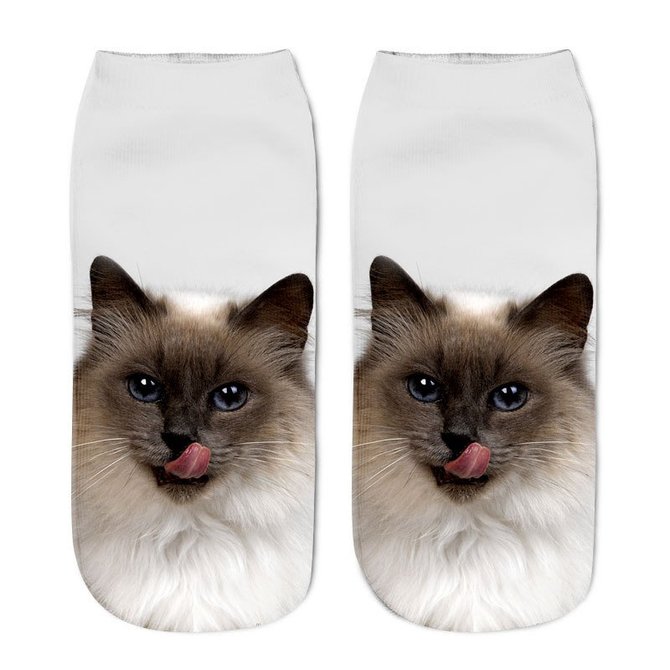 Underwear & Socks