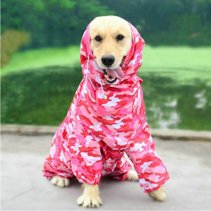 Pet Dog Raincoat Outdoor Waterproof Clothes Hooded Jumpsuit Overalls