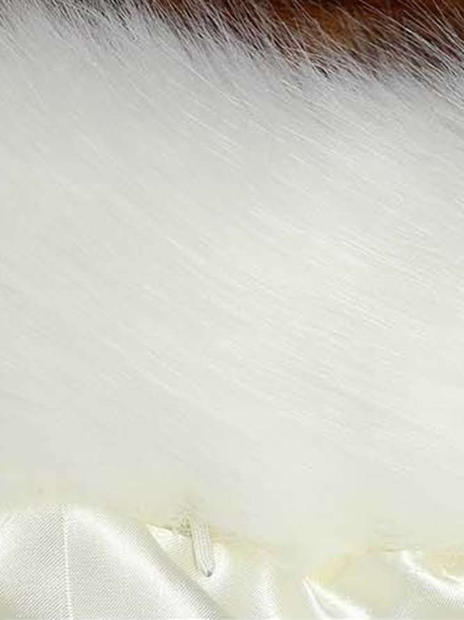 Women's Winter Faux Fur Coat 