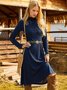 Casual Plain Regular Fit Turtleneck Dress