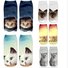 Underwear & Socks
