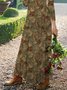 Floral Loosen Round Neck Knitting Dress