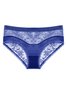 Sexy Lace Satin Low Waist Briefs Plus Size