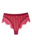 Comfortable Sexy Lace Briefs Plus Size