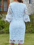 Elegant Lace Cross Regular Fit Dress