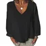 Women Plain Long Sleeve Blouse Spring/Fall V Neck Daily Casual Top