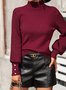 Women's Spring/Fall Plain Casual Long Sleeve Mock Neck Sweater