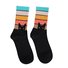 Cat and dog rainbow tube cotton socks