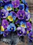 Women Floral Crew Neck Printing Casual Spring/Fall Long Sleeve Sweatshirt